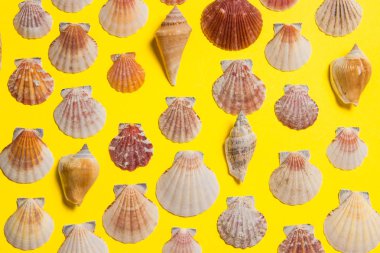 Deniz dekoru ile sarı parlak arka plan