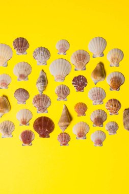 Deniz dekoru ile sarı parlak arka plan