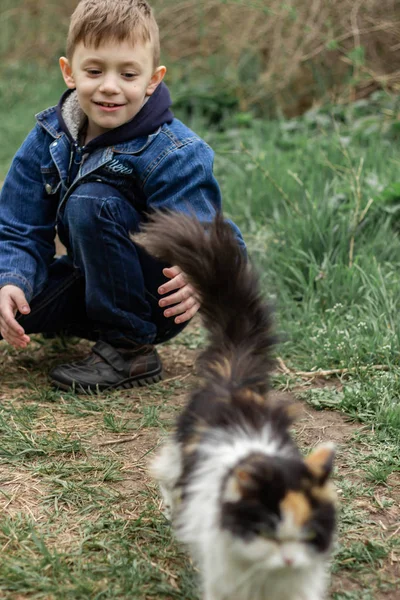 Chico jugando con un gato esponjoso en el parque — Foto de Stock