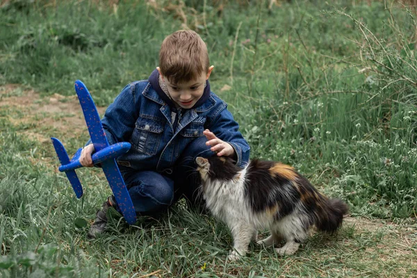 Chlapec hrající s chlupatou kočkou v parku — Stock fotografie