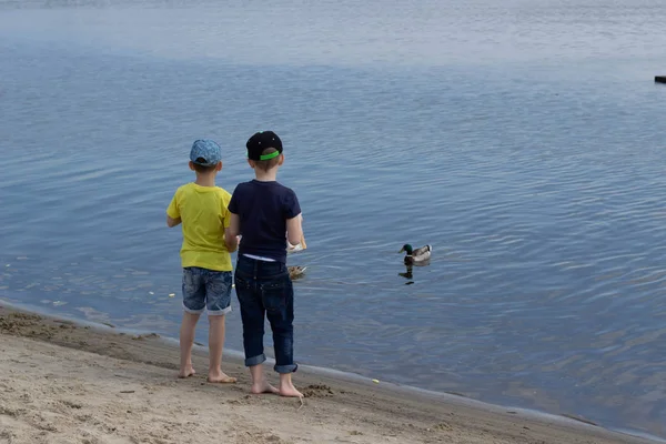 Niños día de verano se alimentan de los patos del río — Foto de Stock