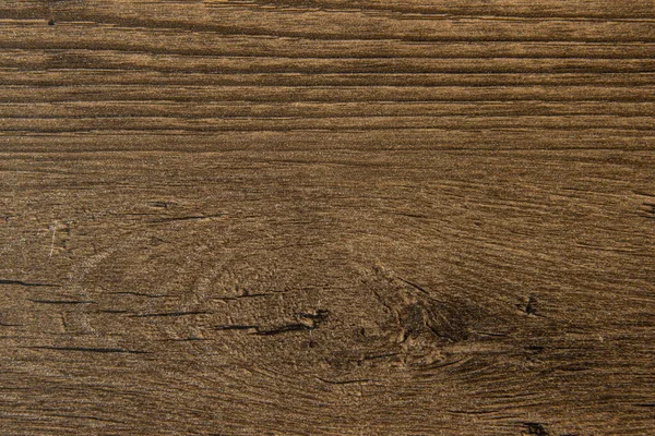 Fond texture écorce d'arbre brun — Photo
