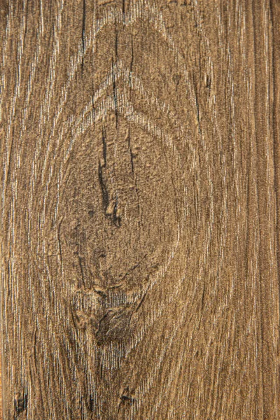Fond texture écorce d'arbre brun — Photo