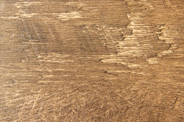 Background texture tree bark brown — Stock Photo, Image