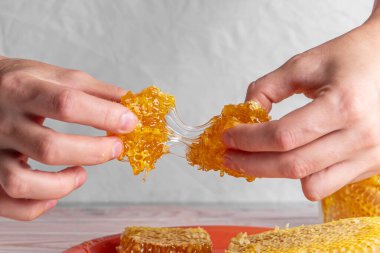 Honeycombs in the hands of which flow out sticky sweet honey clipart
