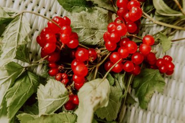 stoneberry kırmızı meyveler yaprakları ile. sağlıklı gıda. Sağlıklı tatlılar
