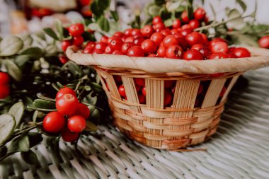 Kırmızı Lingored İsveç kirazı ormanın içinde. Fuska Avrasya flora, ormandaki orman lingonberry.nberry. Fuska Avrasya flora, orman İsveç kirazı