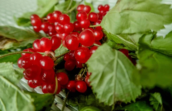 Красные Ягоды Листьями Здоровую Пищу Здоровые Сладости — стоковое фото