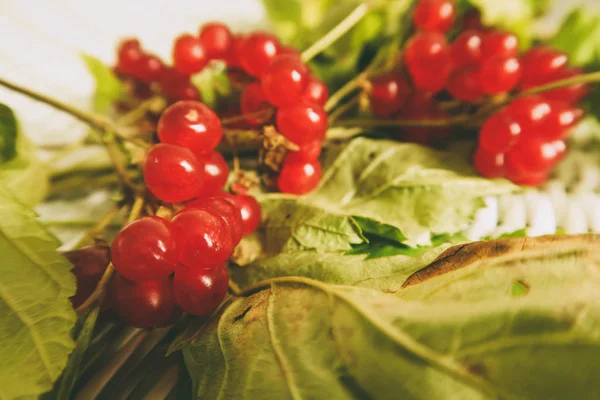stoneberry kırmızı meyveler yaprakları ile. sağlıklı gıda. Sağlıklı tatlılar