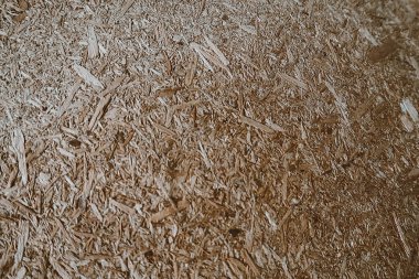 Ahşap çip doku. Doğal organoc tahta sarı arka plan