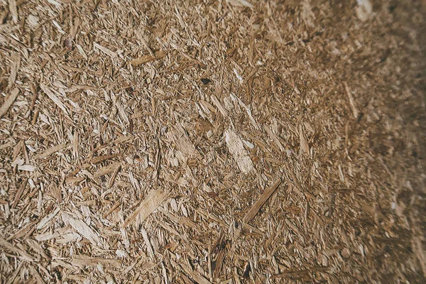 Wood Chip Texture. Natural organoc wood yellow background
