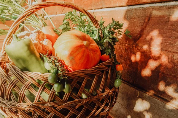 Farm vegetables in the basket. Vegetable fresh garden organic