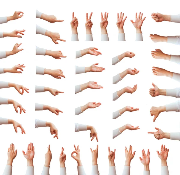 Multiple Female Caucasian Hand Gestures Isolated White Background — Stock Photo, Image