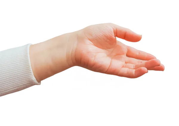 Multiple Female Caucasian Hand Gestures Isolated White Background — Stock Photo, Image