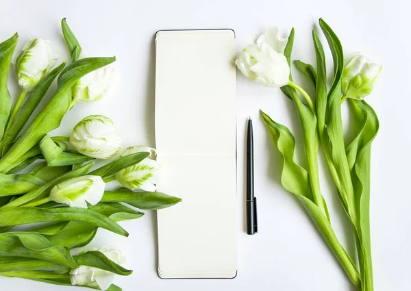 Skicák Čerstvá Kytice Bílých Tulipánů Bílém Pozadí Stránka Prázdný Otevřený — Stock fotografie