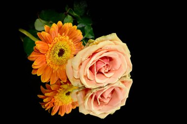 Siyah arka planda izole edilmiş şaşırtıcı yumuşak çiçekler.