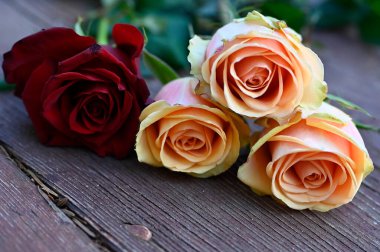 Tahta arka planda güzel güller