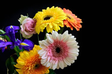 Koyu arkaplanda güzel çiçekler, yaz konsepti, yakın manzara  