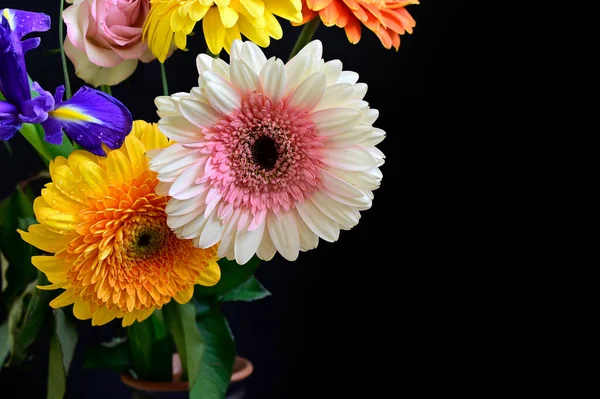 Букет Красивих Квітів Темному Тлі Літня Концепція Вид Близької Відстані — стокове фото