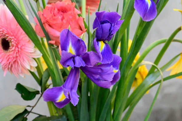 Букет Красивих Квітів Природному Фоні Літня Концепція Вид Зверху — стокове фото
