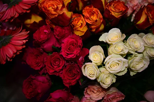 背景模糊的美丽玫瑰花束 — 图库照片