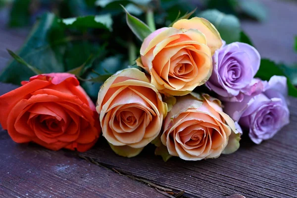 Rosas Bonitas Fundo Madeira — Fotografia de Stock