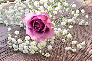 Tahta arka planda küçük beyaz çiçekleri olan güzel bir gül, yaz konsepti, yakın görüş   