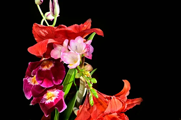 Kytice Krásné Květiny Tmavém Pozadí Letní Koncept Zblízka — Stock fotografie