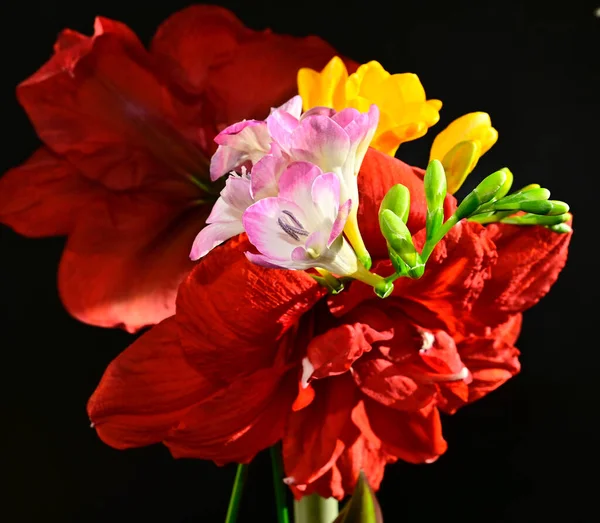 Bukett Med Vackra Blommor Mörk Bakgrund Sommar Koncept Nära Utsikt — Stockfoto