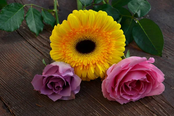 Krásná Gerbera Květiny Růže Dřevěném Pozadí Letní Koncept Zblízka — Stock fotografie