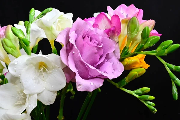 Bouquet Belles Fleurs Sur Fond Sombre Concept Été Vue Rapprochée — Photo
