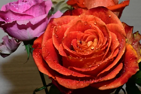 Ramo Hermosas Rosas Sobre Fondo Borroso Vista Cercana — Foto de Stock