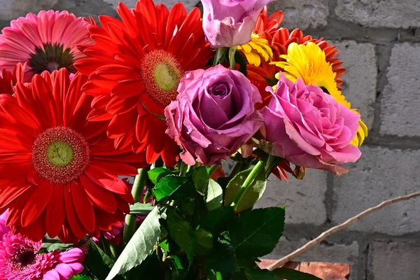 Yazın Güneşli Bir Günde Güzel Bir Buket Çiçek Yakın Manzara — Stok fotoğraf