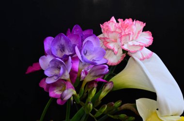 Koyu arkaplanda güzel çiçekler, yaz konsepti, yakın manzara  