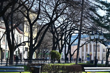 Şehir merkezine ağaçlarla park et.