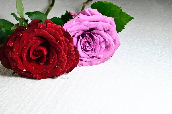 Красивые Розовые Цветы Сером Фоне Летняя Концепция Вид Сверху — стоковое фото