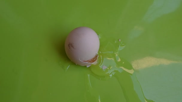 Ραγισμένο Αυγό Κοτόπουλου Πράσινο Φόντο Κοντινή Προβολή — Αρχείο Βίντεο