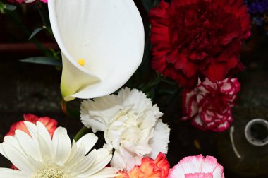 Koyu arkaplanda güzel çiçekler, yaz konsepti, yakın manzara  