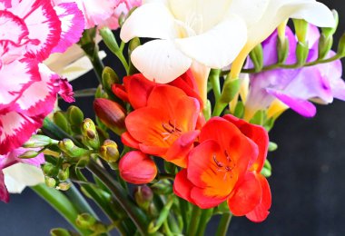 Koyu arkaplanda güzel çiçekler, yaz konsepti, yakın manzara  