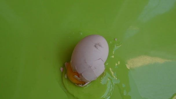 绿色背景的碎鸡蛋 — 图库视频影像