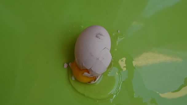 Huevo Gallina Agrietado Sobre Fondo Verde Vista Cercana — Vídeos de Stock