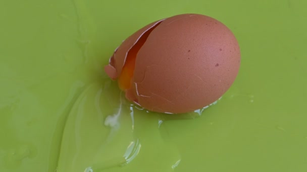 Треснувший Куриное Яйцо Зеленом Фоне Близкий Вид — стоковое видео