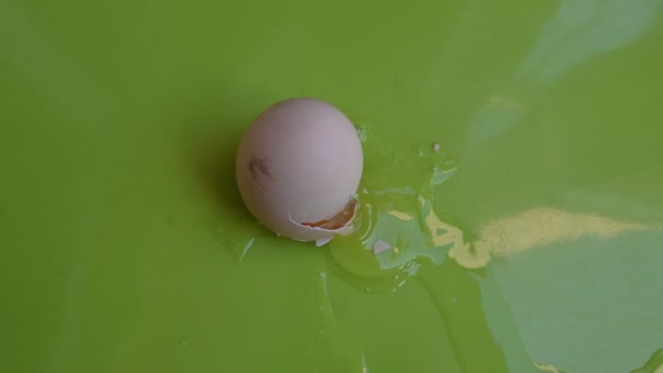 Ραγισμένο Αυγό Κοτόπουλου Πράσινο Φόντο Κοντινή Προβολή — Αρχείο Βίντεο
