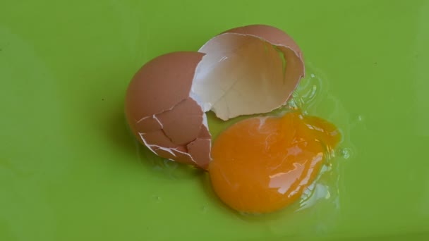 Oeuf Poulet Craqué Sur Fond Vert Vue Rapprochée — Video