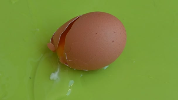 Треснувший Куриное Яйцо Зеленом Фоне Близкий Вид — стоковое видео