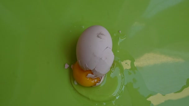 Oeuf Poulet Craqué Sur Fond Vert Vue Rapprochée — Video