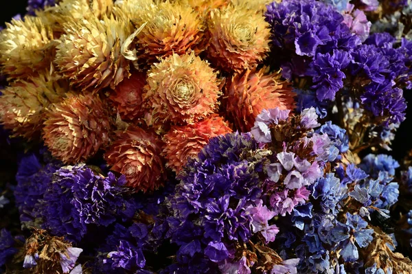 Hermosas Flores Sobre Fondo Oscuro Concepto Verano Vista Cercana —  Fotos de Stock