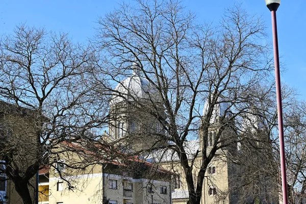 Malowniczy Widok Piękne Gołe Drzewa Budynkami Tle Błękitnego Wiosennego Nieba — Zdjęcie stockowe