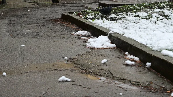 白雪覆盖沥青路面特写 — 图库照片