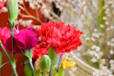 Bahçedeki güzel çiçekler